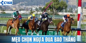 Khám Phá Mẹo Chọn Ngựa Đua Bao Thắng Tại Nhà Cái C168